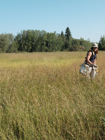 Photo 2017-08-05, 7 27 55 AM.jpg