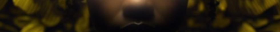 Screen Shot 2023-02-03 at 12.23.30 AM.png