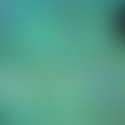 Perhentian- Season Finale