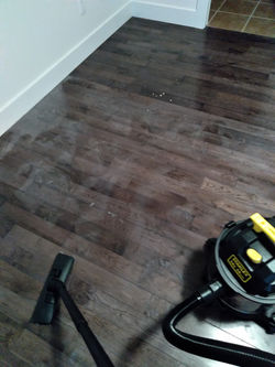 Wood Floor Before