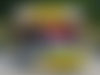 Óriási világcsúccsal védte meg címét a Széchenyi István Egyetem hallgatói csapata Európa legnagyobb energiahatékonysági versenyén