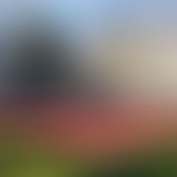 Fejlesztés a diákokért: megújult a Széchenyi István Egyetem Győri Tánc- és Képzőművészeti Iskolájának udvara