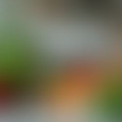 Why a Personal Chef is Perfect for Your Home: Personal Chef Benefits You’ll Love