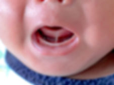 5e0661ad954bda12531962c2.jpeg