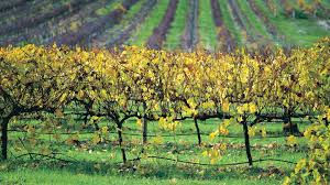 Margaret River