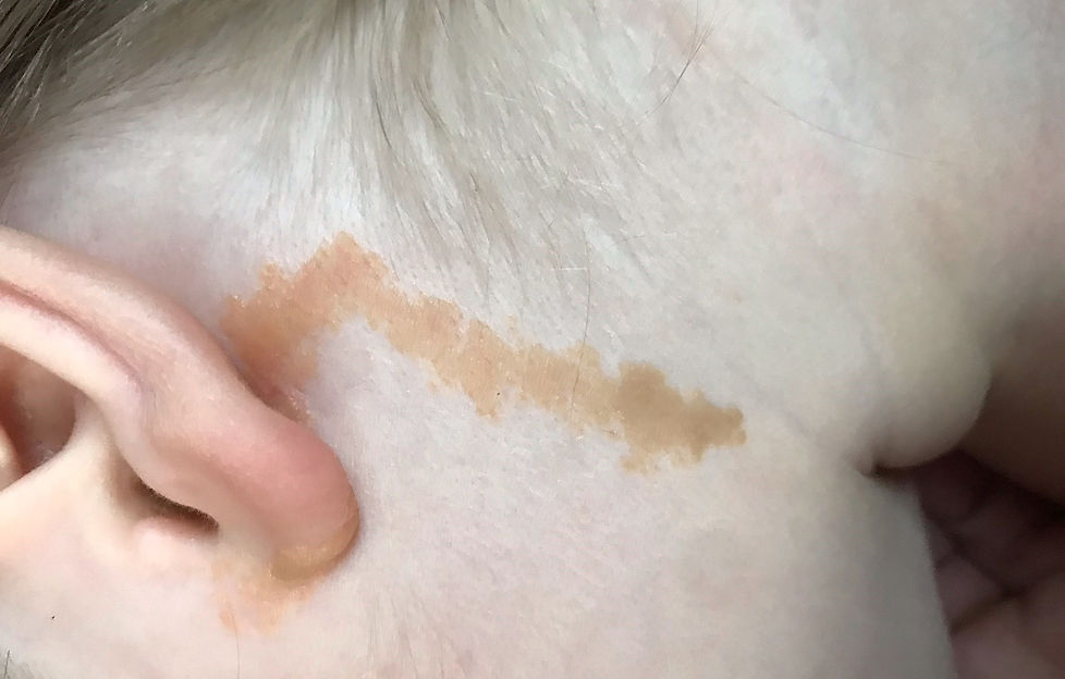 Untitled design (2).png