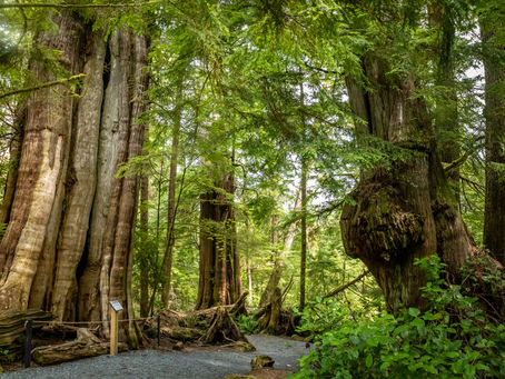 Night 12 + 13 | From Little River to Powell River, Ferry Adventures, Hidden Gems, and Sunshine Coast Magic.