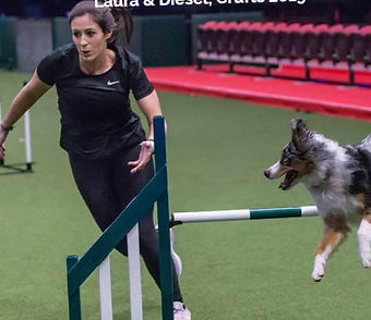 dieselcrufts_edited.jpg