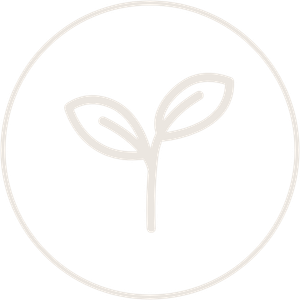 Icons (2).png