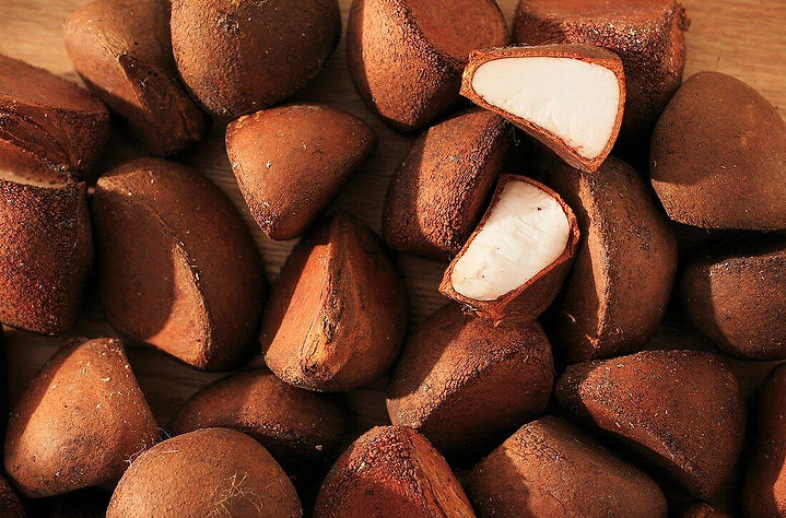 Andiroba fruta.jpg