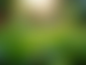 The Impact of Sustainable Practices on Modern Living