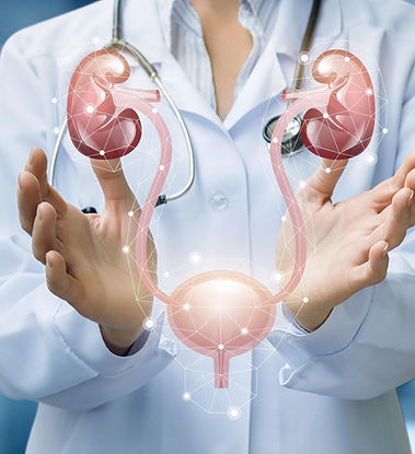 doctor-shows-urinary-system-blurred-background.jpg