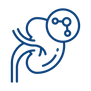 Proteinuria & Nephrotic Syndrome.png