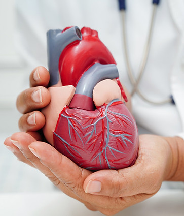 when-should-you-consult-a-cardiologist.jpg