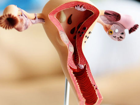 Müllerian Anomalies: Understanding Uterine Structural Variations and Fertility