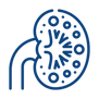 Polycystic Kidney Disease.png