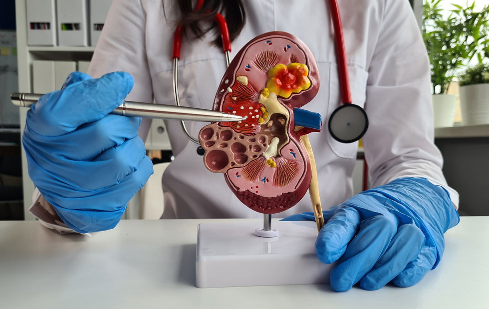 Kidney Health Awareness – Staying Hydrated and Preventing Stones