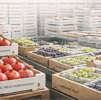 ChatGPT Image Feb 6, 2026, 12_04_39 PM_edited.jpg