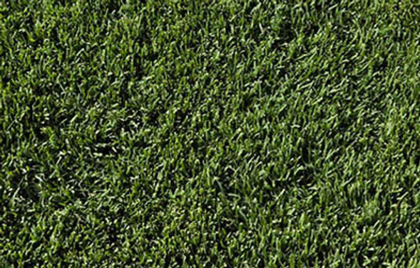 Perth Landscaping