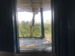 Restaurant_écologique