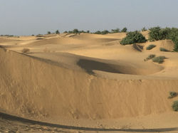 Rares_dûnes_de_sable