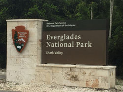 Everglages