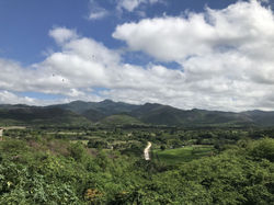 Vue sur la campagne Cubaine