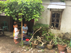 Petit_village_près_de_Senggigi