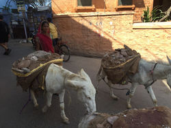 Transport de marchandise