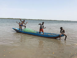 Afrique