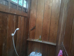 Geko dans la salle de bain