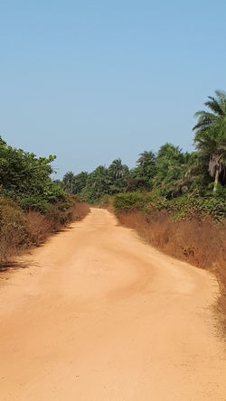 Entre la brousse et la savane
