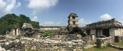 Site_archéologique_de_Palenque