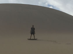 Sandboard
