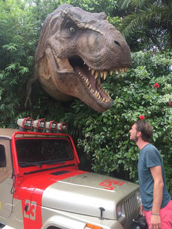 Au pays de jurassic