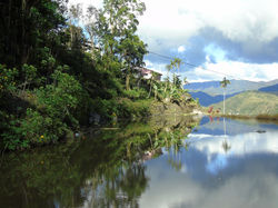 Rizières_de_Banaue