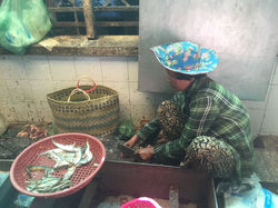 Marché_aux_poissons
