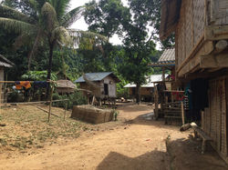 Petit village