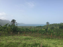 Point de vue
