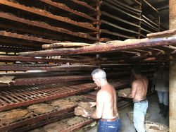 Séchage_des_feuilles_de_cigares