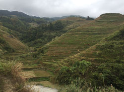 Rizières_de_Longji