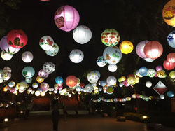 Lanternes chinoises