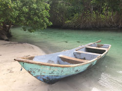 Un petit bout de paradis