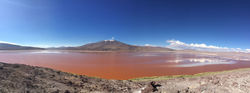 Laguna Colorada