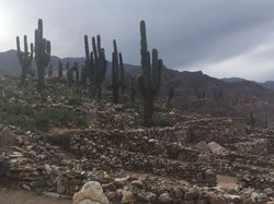 El Jardin Botanico de Altura