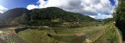 Panoramique_des_rizières