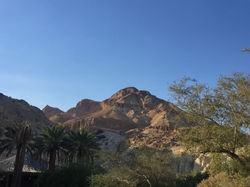 Ein_Gedi_près_de_la_Cisjordanie