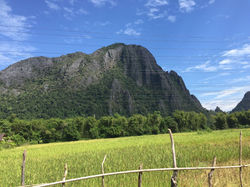 Rizières_et_Montagnes