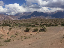 Cordillère_des_Andes