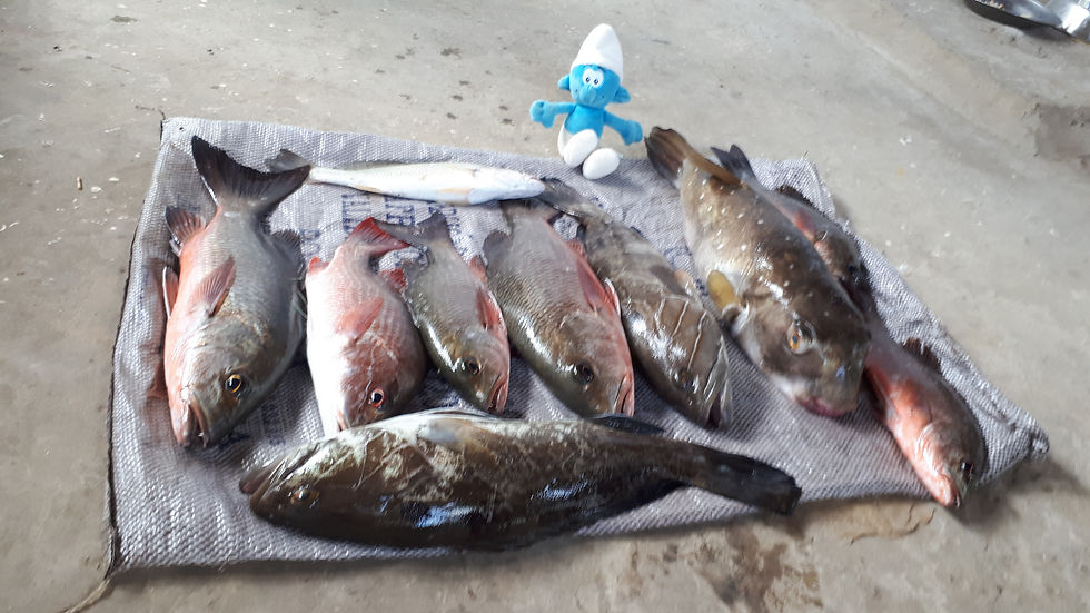 Belle_pêche